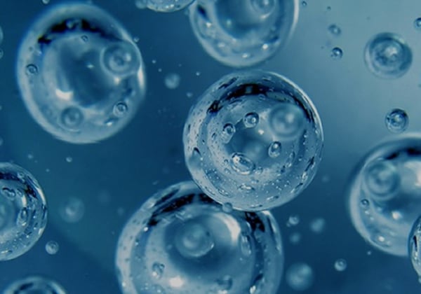 Derattizzazione aziende e ristoranti con piano HACCP