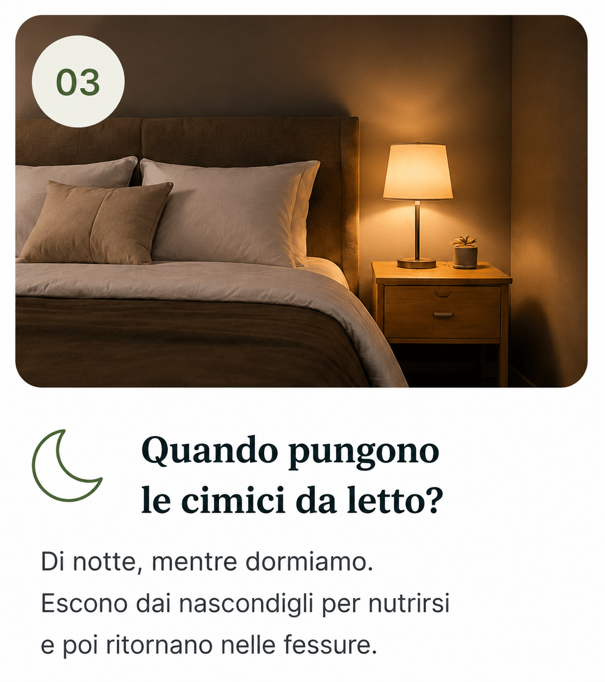 Letto di notte: le cimici arrivano anche con ospiti e oggetti in prestito