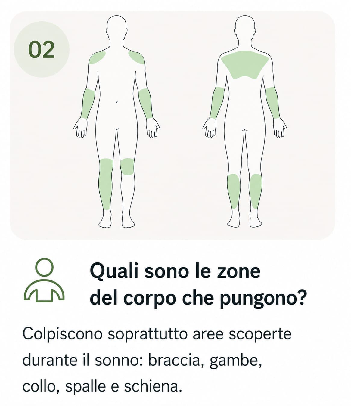 aree punture cimici da letto Aree del corpo colpite dalle punture
