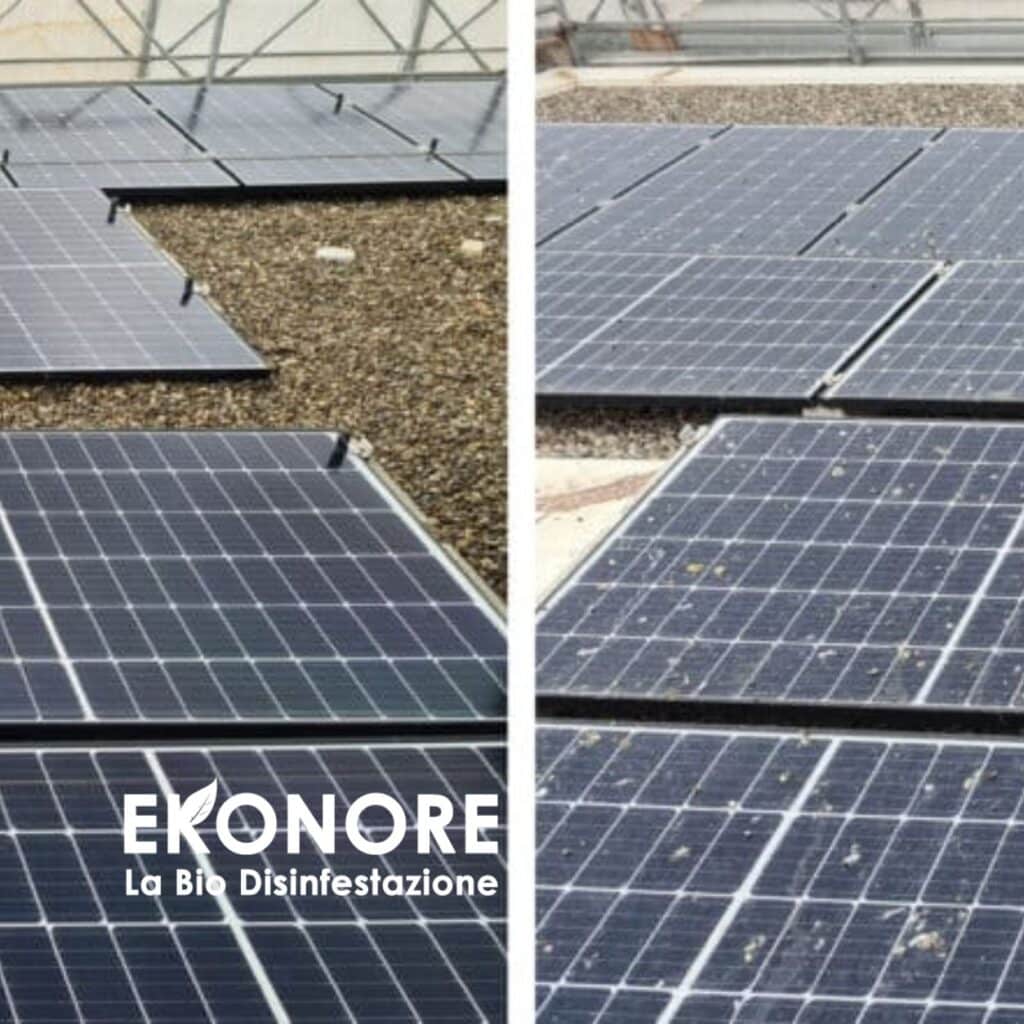 Protezione di un impianto fotovoltaico (1/3) – sistema di allontanamento volatili Ekonore