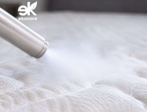 Trattamento a Caldo o Azoto Liquido contro le Cimici? Il Confronto