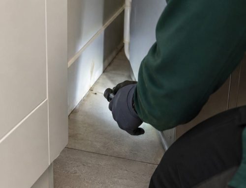 Allergia ai Topi: Allergeni, Asma e Qualità dell’Aria in Casa