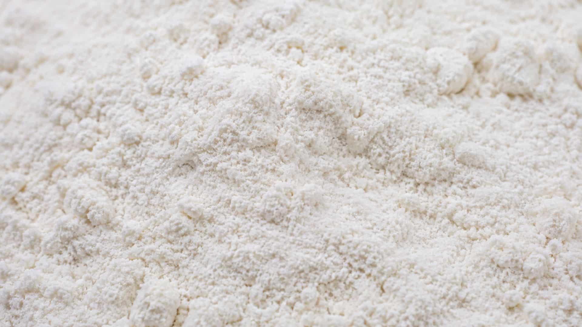 Farina da controllare per individuare la presenza di tarme alimentari