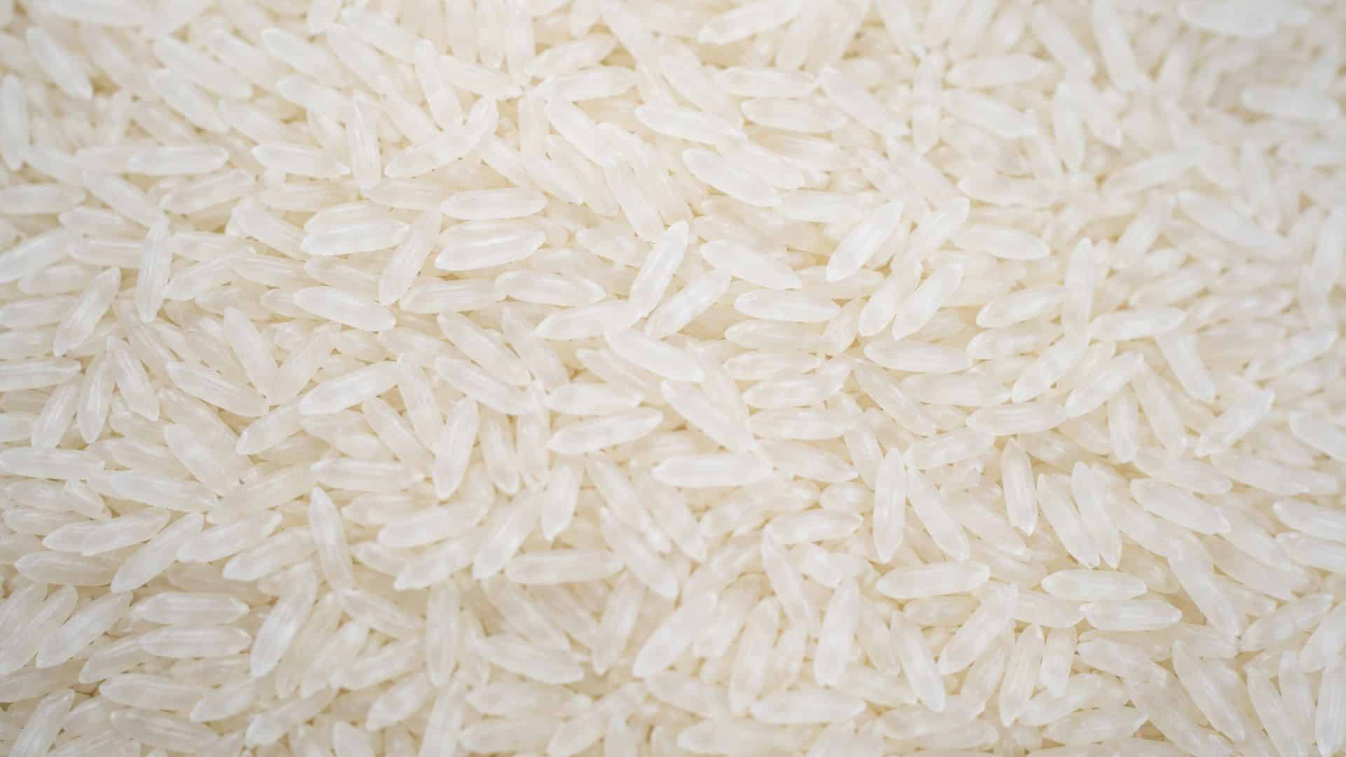 Riso da controllare per individuare la presenza di tarme alimentari