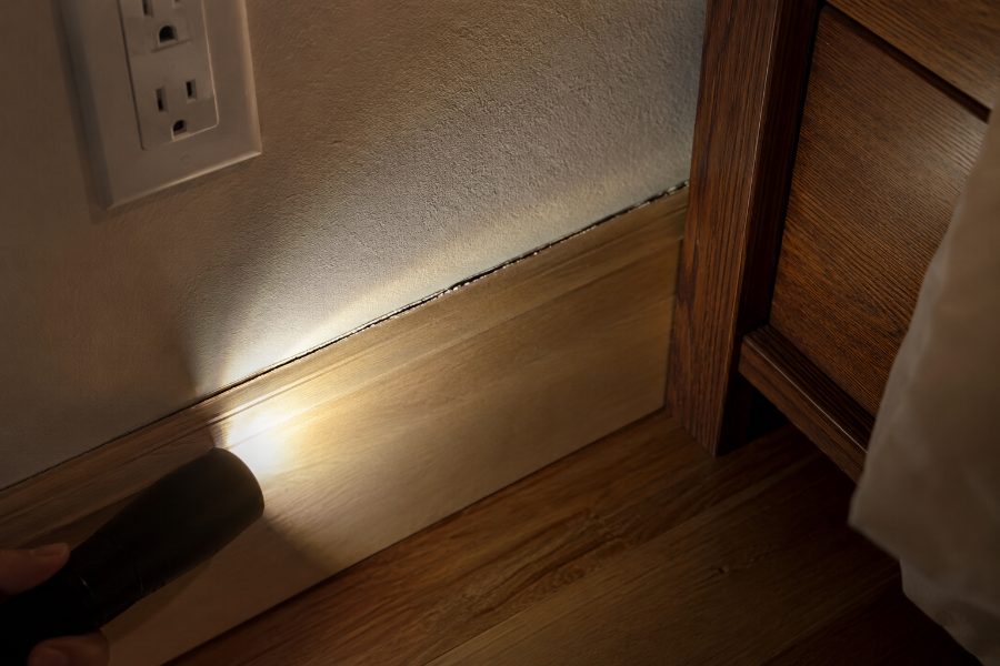Battiscopa e presa elettrica: i passaggi che le cimici dei letti usano dentro i muri