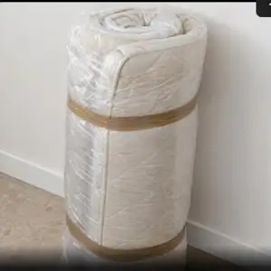 Cimici dei letti lungo le cuciture di un materasso