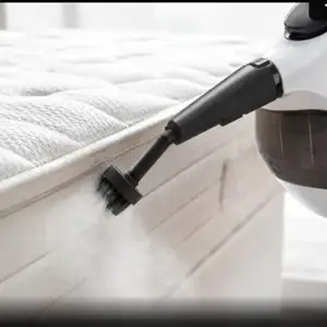 pulitore a vapore domestico