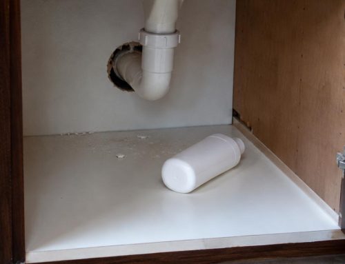 Topi in Cucina: Cosa Buttare e Come Sanificare