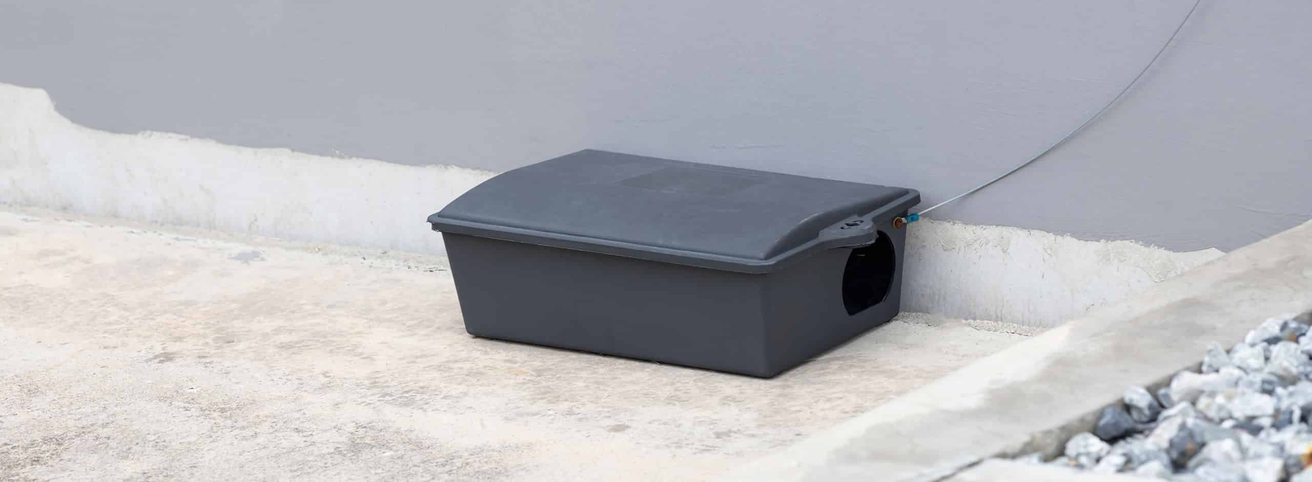Trappole per topi quali funzionano davvero