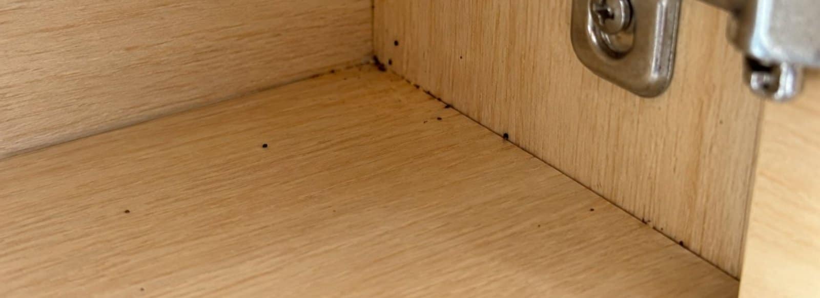 Angolo interno di un pensile da cucina con piccoli puntini neri