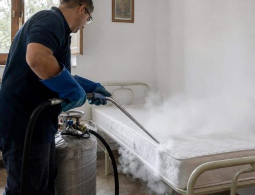 Azoto, Calore, Vapore o Insetticidi: la Matrice di Scelta per le Strutture