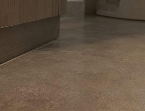 Blatte in bagno: da dove arrivano e cosa controllare
