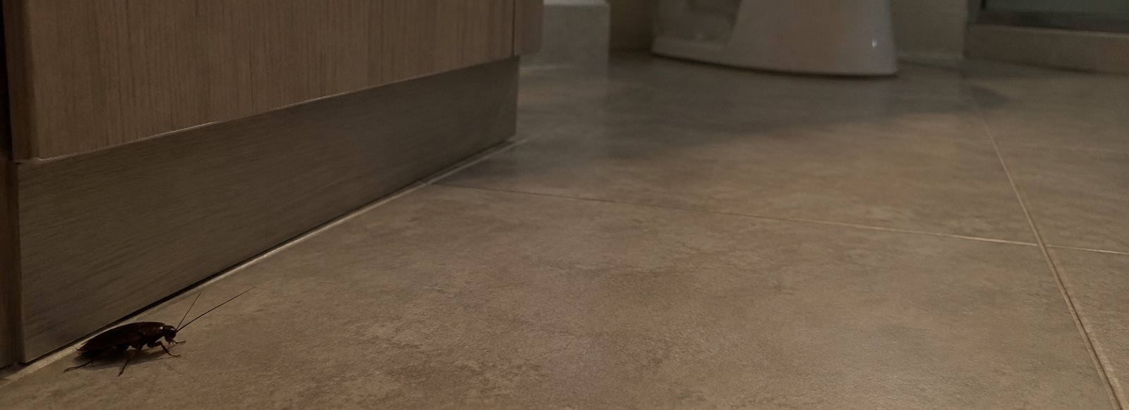 Blatta scura sul pavimento di un bagno di notte, vicino allo zoccolo del mobile del lavabo