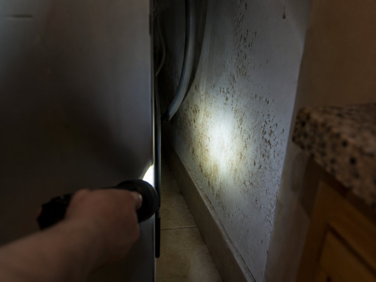 Tecnico ispeziona con la torcia dietro un elettrodomestico da cucina