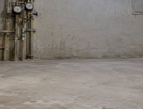 Blatte in condominio: perché passano da un appartamento all’altro