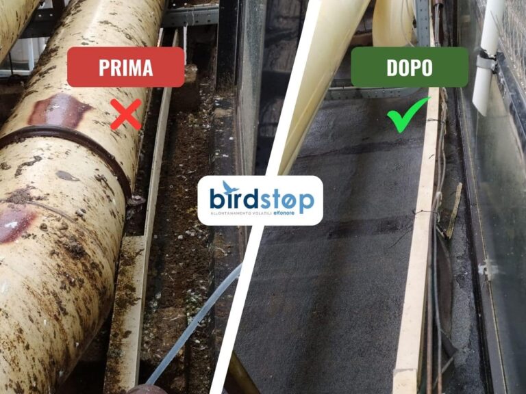 Bonifica guano prima e dopo: canale tecnico con tubazione attiva