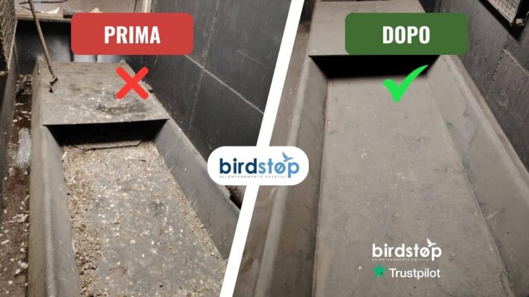 Bonifica guano prima e dopo: cassoni tecnici sul tetto