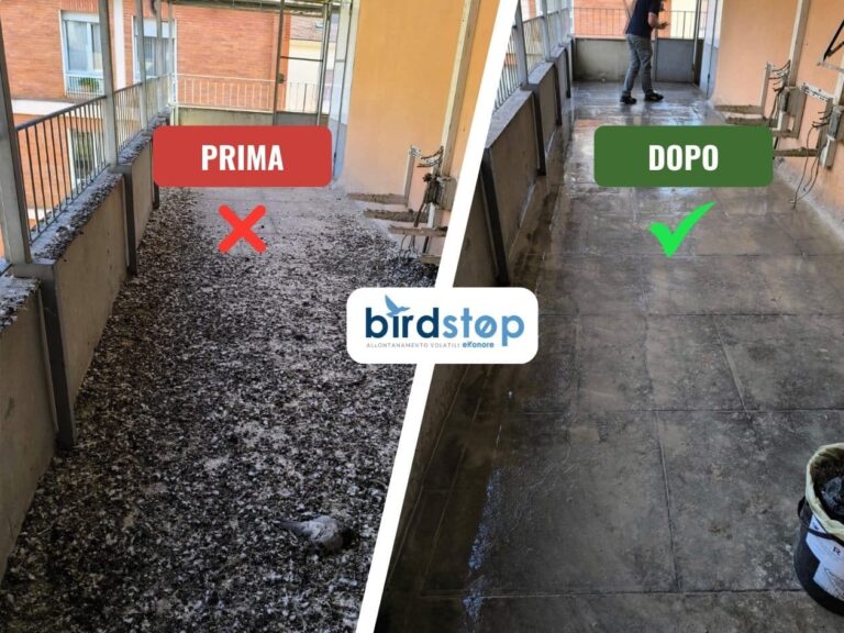 Bonifica guano prima e dopo: passaggio condominiale in cemento