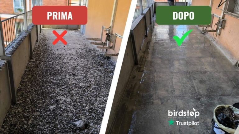 Bonifica guano prima e dopo: terrazzo di servizio, bologna