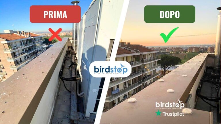 Bonifica guano prima e dopo: terrazzo condominiale con impianti