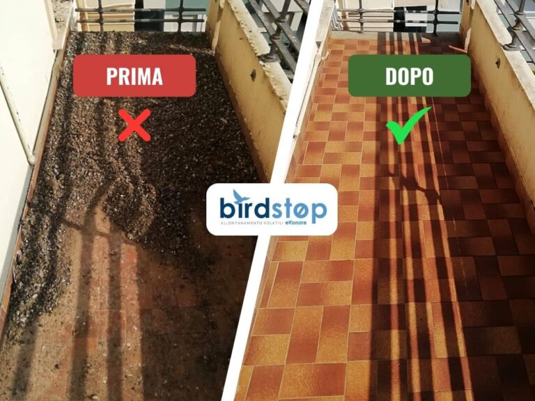 Bonifica guano prima e dopo: terrazzo con piastrelle decorate