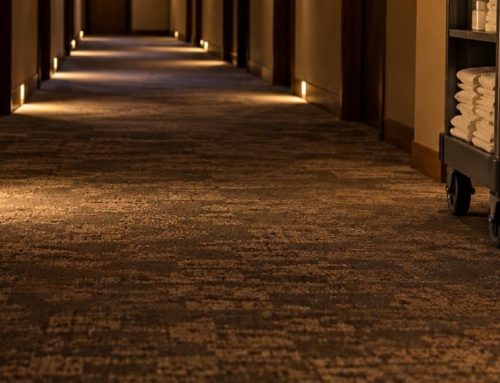 Blatte in hotel: cosa fare subito e come prevenirle