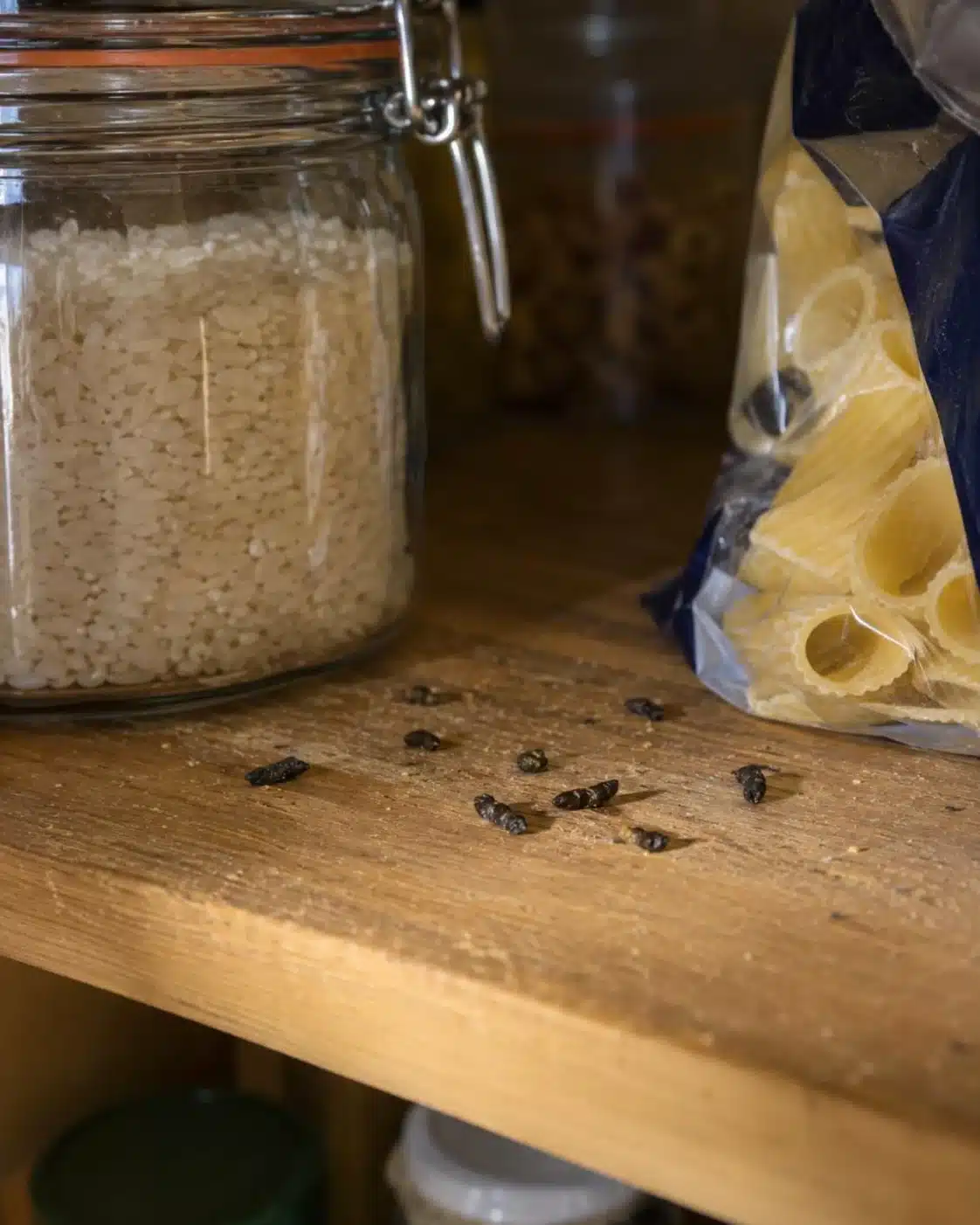 Escrementi di topo su un ripiano della dispensa accanto a riso e pasta
