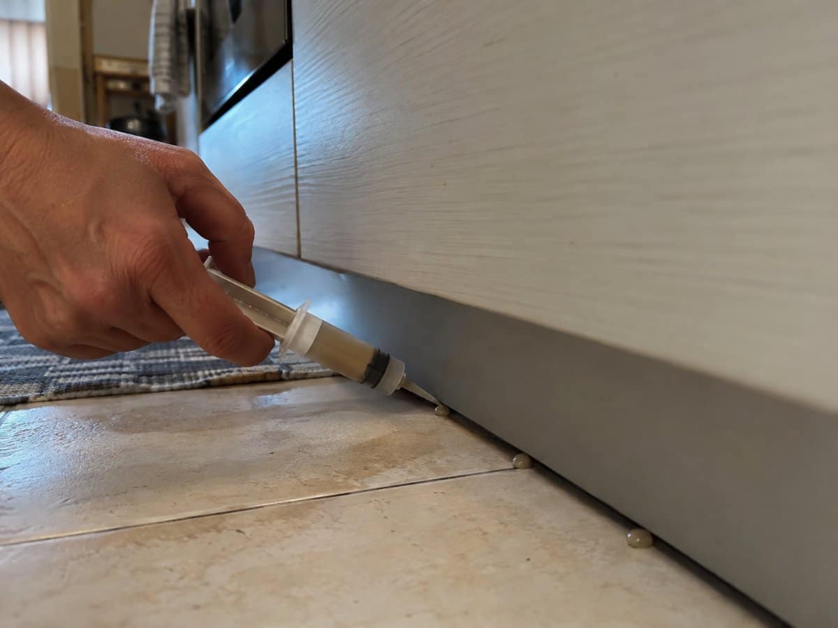 Applicazione di un gel esca in una fessura di un mobile da cucina