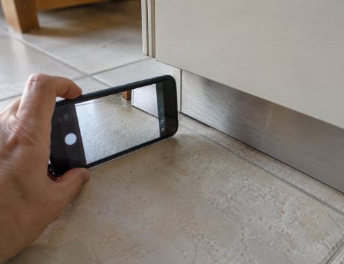 Insetto nero tipo scarafaggio: i 7 sosia più comuni