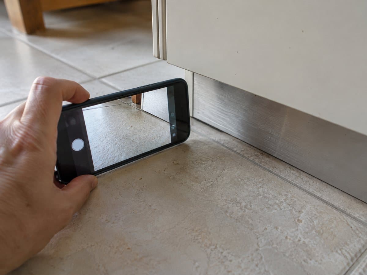 Mano che fotografa con lo smartphone un insetto scuro sul pavimento della cucina prima di toglierlo