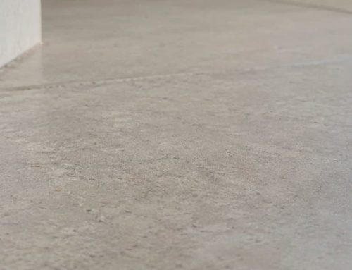 Insetto nero tipo scarafaggio: i 7 sosia più comuni