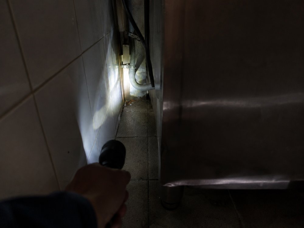 Torcia che illumina un solo punto della fessura stretta dietro un frigorifero in una cucina professionale