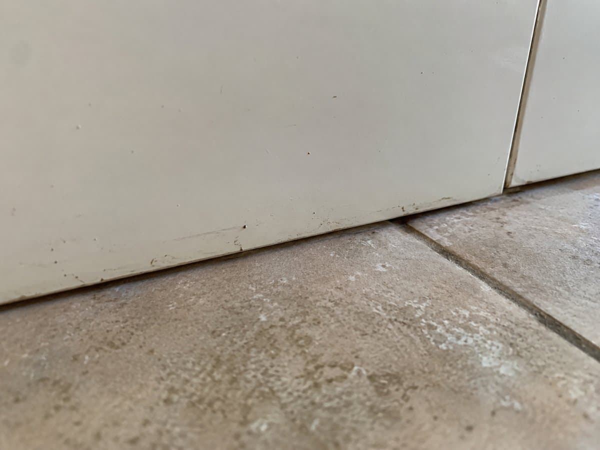 Puntini neri e strisciate scure lungo lo zoccolo di un mobile da cucina