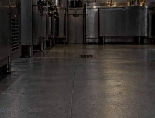 Scarafaggi in cucina professionale: gli 8 punti critici e il test delle 24 ore