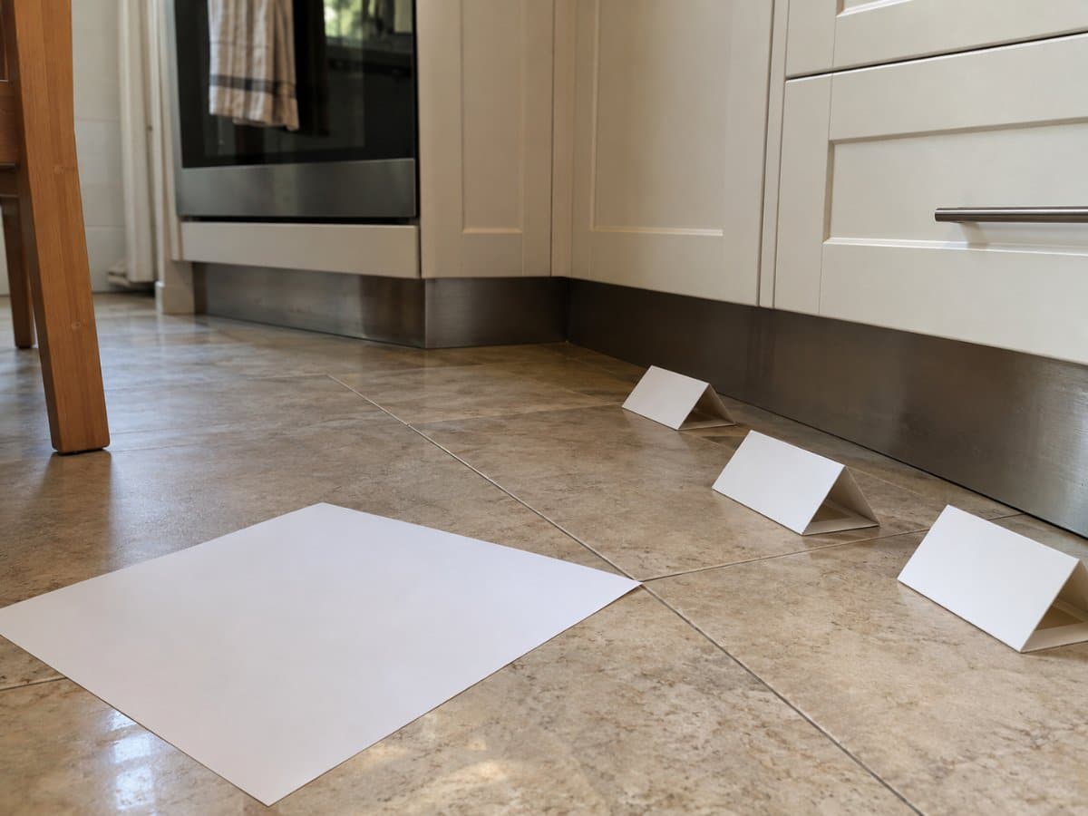 Trappole adesive di monitoraggio sul pavimento di una cucina accanto a un foglio di carta