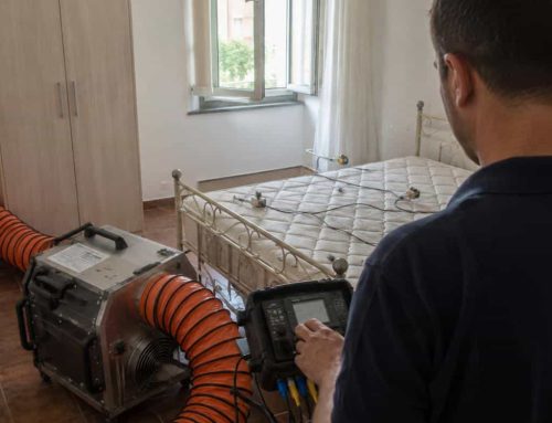 Trattamento Termico Cimici da Letto: Come Funziona e Quando Non Basta