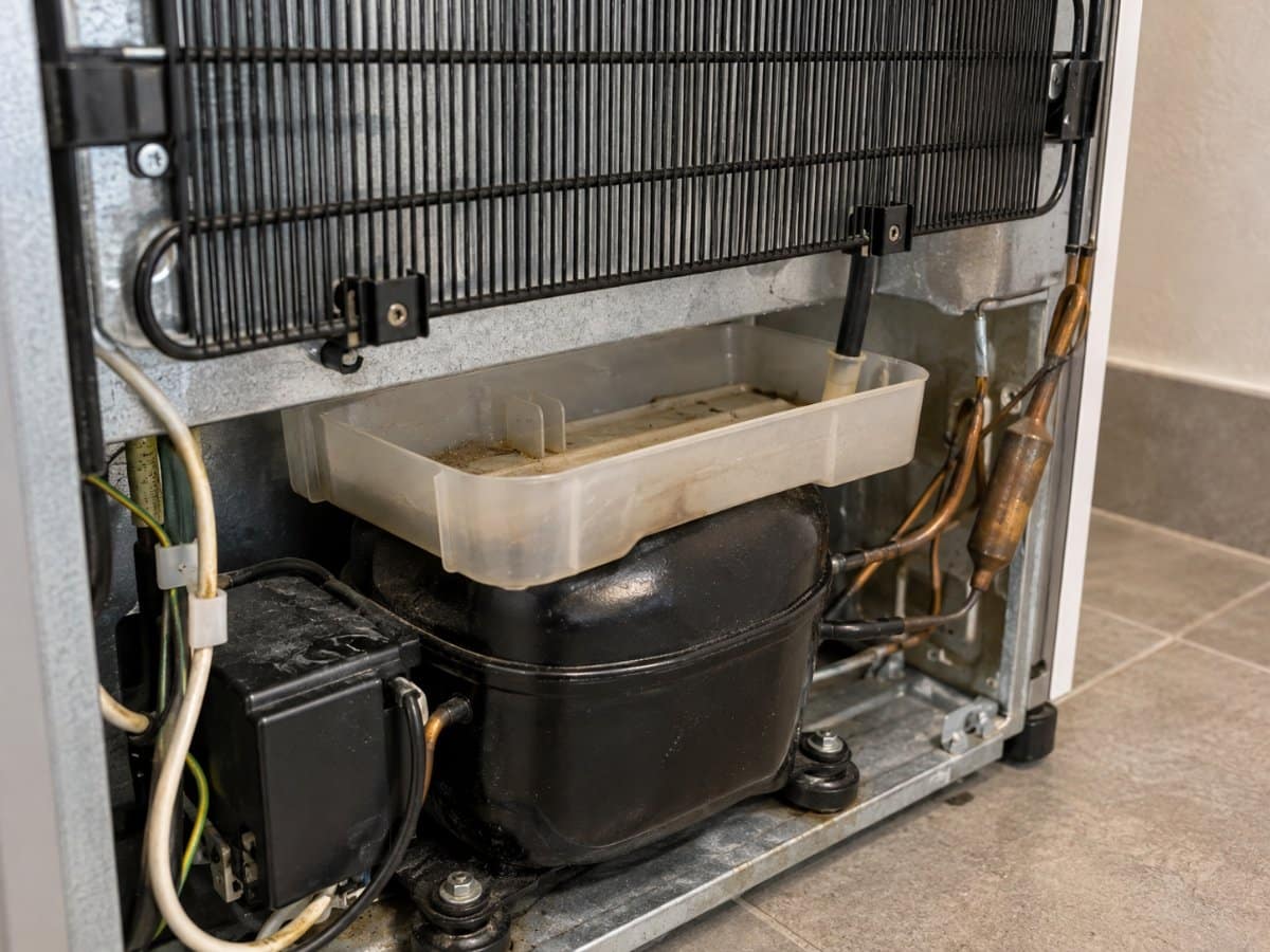 Vaschetta di raccolta della condensa appoggiata sopra il compressore sul retro di un frigorifero