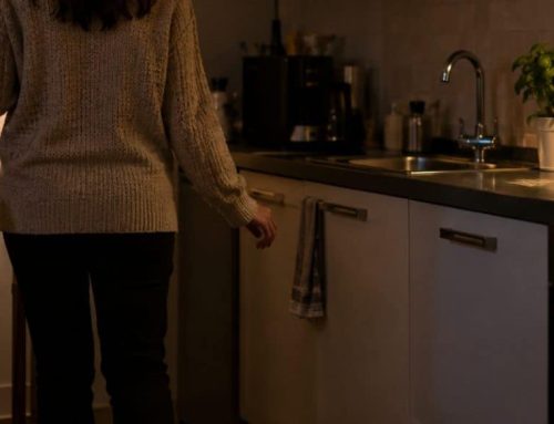 Blatta o scarafaggio: è lo stesso insetto?