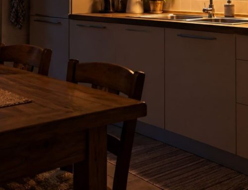 Blatte di notte: perché le vedi solo quando accendi la luce