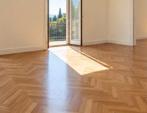 Blatte in casa nuova: cosa controllare prima del trasloco