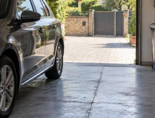 Blatte in garage: da dove entrano e come fermarle