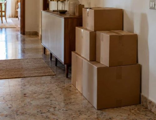 Blatte nei cartoni: come entrano in casa (e cosa fare)
