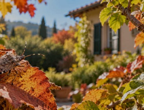 Insetti in autunno: quali incontriamo e perché entrano nelle nostre case?